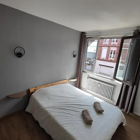 Center Of Lille, Spacious & Cozy ليل