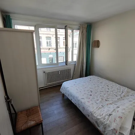 Lejlighed Center Of Lille, Spacious & Cozy *