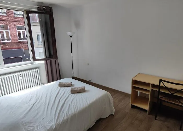 Center Of Lille, Spacious & Cozy