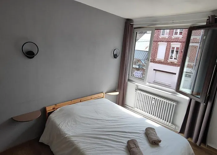 Center Of Lille, Spacious & Cozy ليل