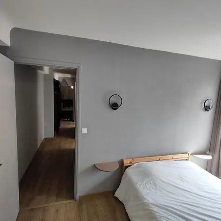 Center Of Lille, Spacious & Cozy Daire *